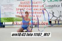 11167_M17-