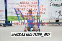 11169_M17-