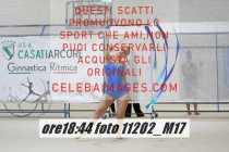 11202_M17-