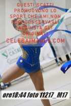11217_M17-