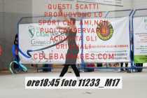 11233_M17-