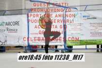11238_M17-