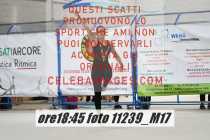 11239_M17-