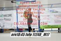 11240_M17-