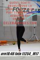 11254_M17-