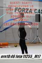 11255_M17-