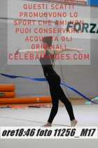 11256_M17-