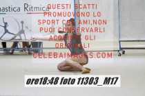 11303_M17-