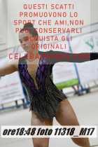 11318_M17-