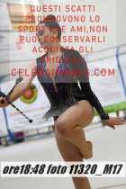 11320_M17-