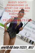 11321_M17-