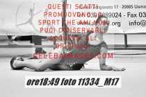 11334_M17-
