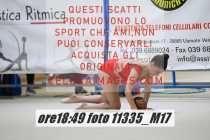 11335_M17-