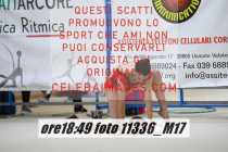 11336_M17-