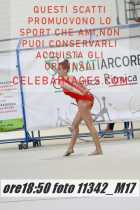 11342_M17-