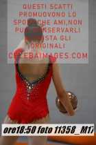 11358_M17-