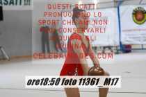 11361_M17-