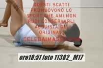 11382_M17-