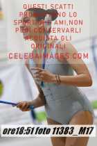11383_M17-