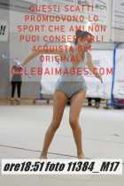 11384_M17-