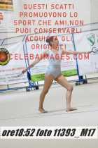 11393_M17-