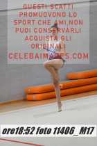 11406_M17-