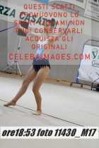 11430_M17-