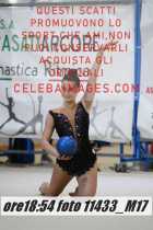 11433_M17-