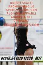 11438_M17-