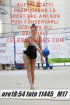 11445_M17-