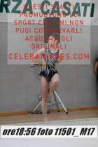 11501_M17-