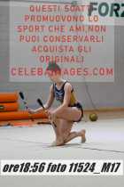 11524_M17-