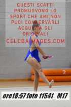 11541_M17-