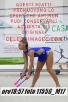11556_M17-