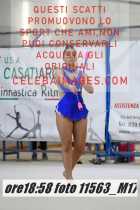 11563_M17-