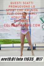 11635_M17-