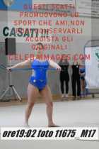 11675_M17-