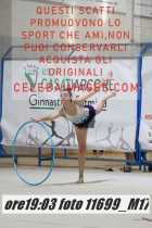11699_M17-