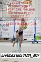 11701_M17-