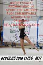 11756_M17-
