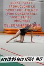 11764_M17-