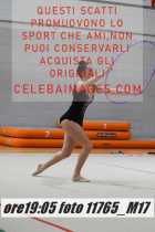 11765_M17-