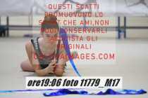 11779_M17-