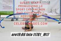 11781_M17-