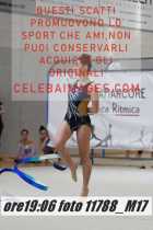 11788_M17-
