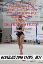 11795_M17-