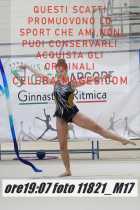 11821_M17-