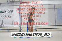 11828_M17-