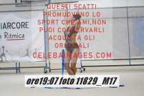 11829_M17-