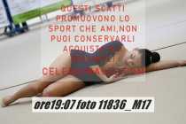 11836_M17-